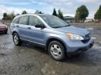 2007 Honda CR-V LX