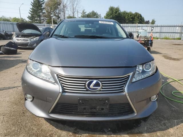 2014 Lexus ES 300H