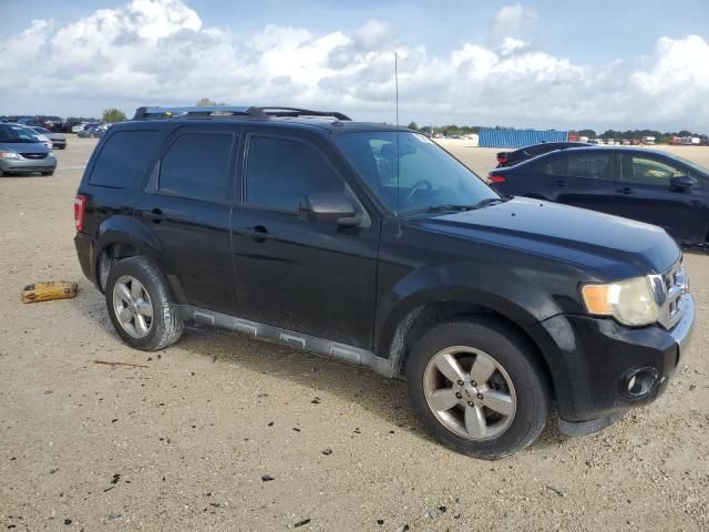 2010 Ford Escape Limited