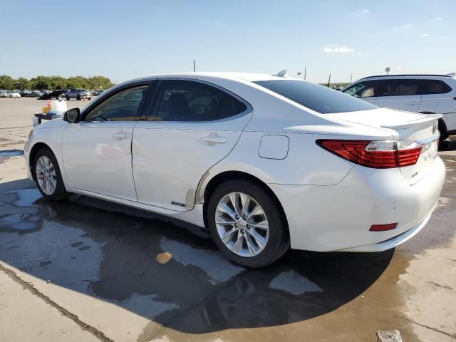 2013 Lexus ES 300H