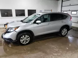 2014 Honda CR-V EX en venta en Blaine, MN