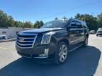 2020 Cadillac Escalade ESV Luxury