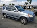 2004 Honda CR-V EX