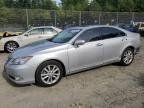 2011 Lexus ES 350