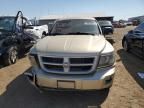 2011 Dodge Dakota SLT