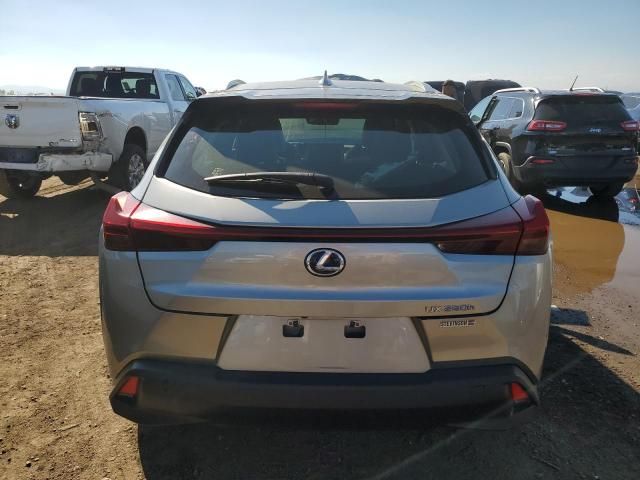 2019 Lexus UX 250H