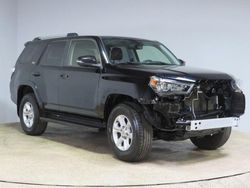 Toyota salvage cars for sale: 2019 Toyota 4runner SR5