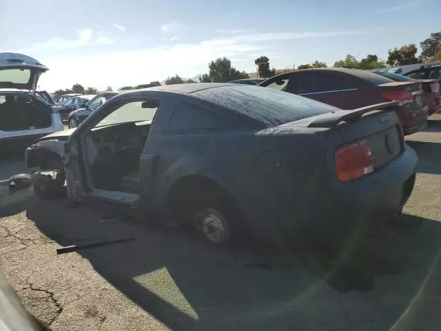 2007 Ford Mustang GT