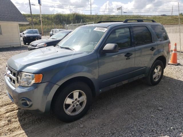 2010 Ford Escape XLT