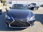 2024 Lexus ES 350 Base