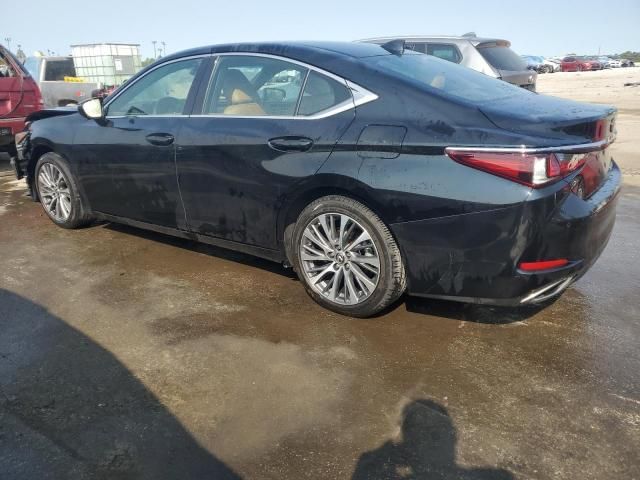 2019 Lexus ES 350