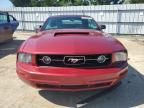 2006 Ford Mustang