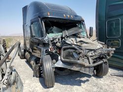 Salvage trucks for sale at North Las Vegas, NV auction: 2024 Freightliner Cascadia 126