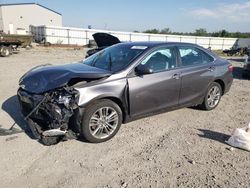 Toyota Camry le salvage cars for sale: 2016 Toyota Camry LE