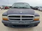 2001 Dodge Dakota