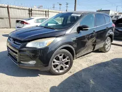 Ford salvage cars for sale: 2013 Ford Escape SEL