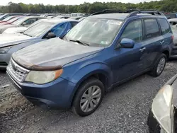 Subaru Forester Limited salvage cars for sale: 2011 Subaru Forester Limited