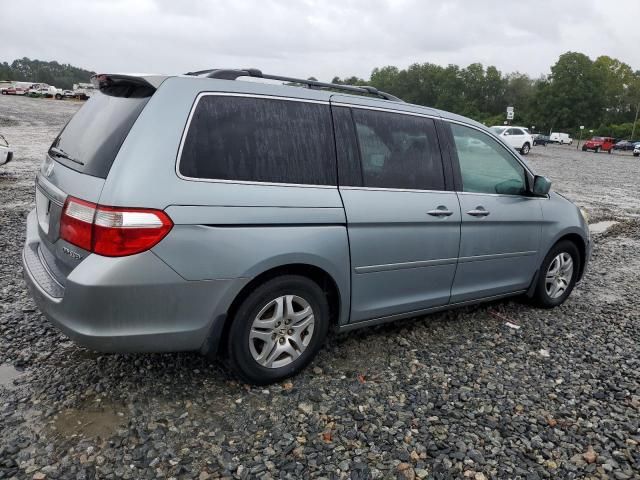 2005 Honda Odyssey EXL