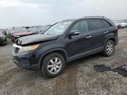 Salvage cars for sale at Helena, MT auction: 2011 KIA Sorento Base