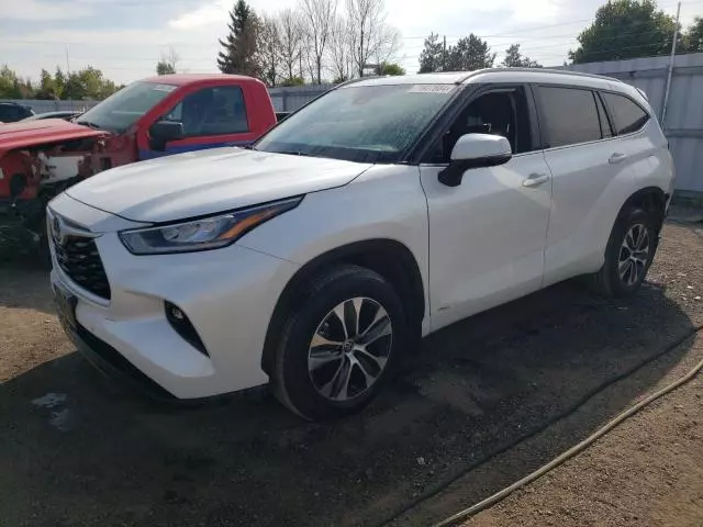 2023 Toyota Highlander Hybrid XLE