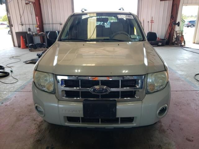 2008 Ford Escape XLT