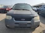 2004 Ford Escape XLT