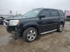 2013 Honda Pilot EXL