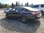 2017 Honda Accord Sport Special Edition