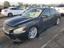 Nissan salvage cars for sale: 2009 Nissan Maxima S