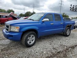 Salvage cars for sale from Copart Columbus, OH: 2008 Dodge Dakota Quad SLT