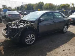 Toyota Vehiculos salvage en venta: 2010 Toyota Corolla Base