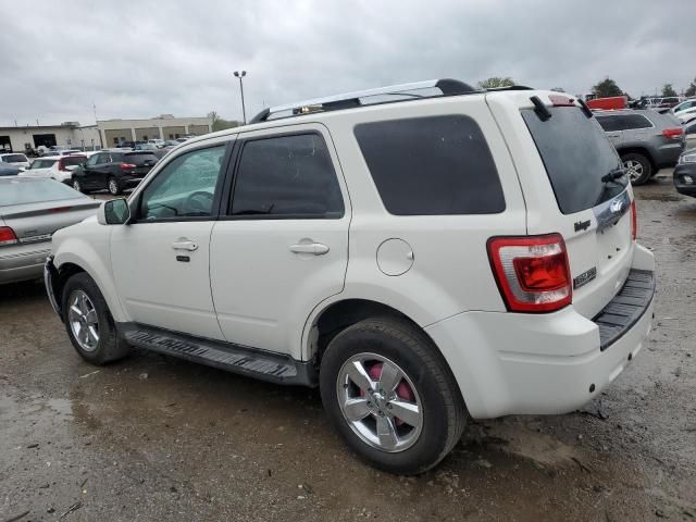 2011 Ford Escape Limited