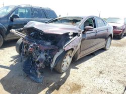 Salvage cars for sale at Tucson, AZ auction: 2013 Ford Fusion SE