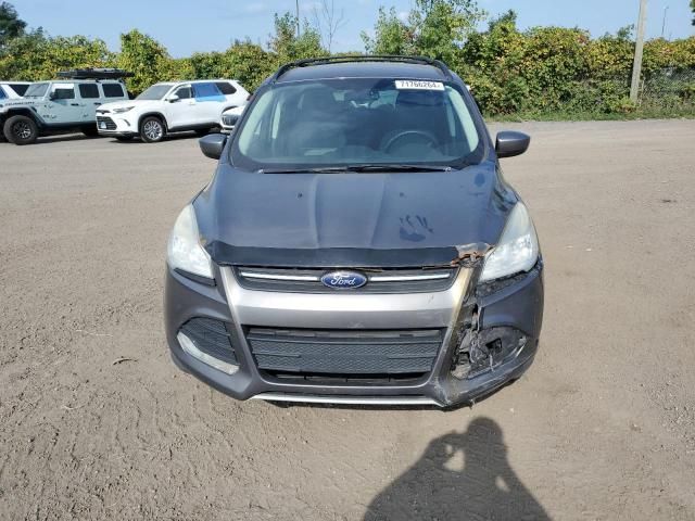 2013 Ford Escape SE