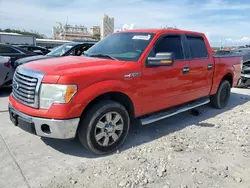 Salvage trucks for sale at New Orleans, LA auction: 2011 Ford F150 Supercrew