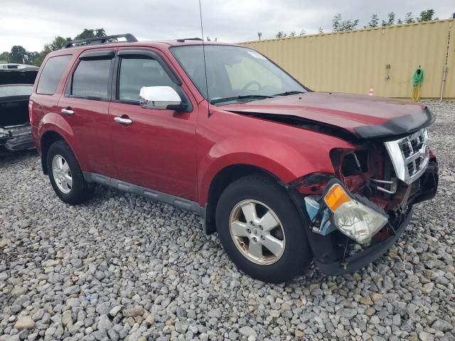 2012 Ford Escape XLT