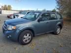 2012 Ford Escape XLS