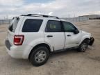 2008 Ford Escape XLS