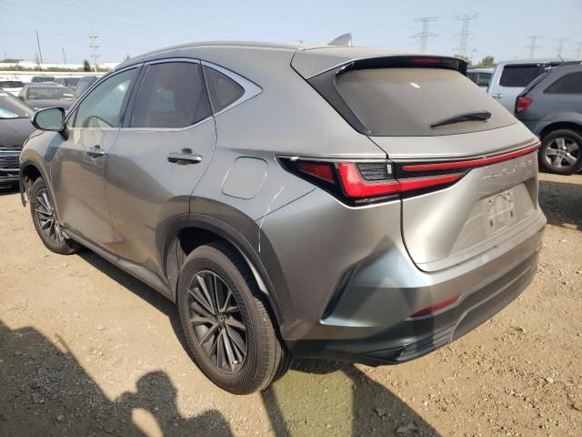 2022 Lexus NX 250