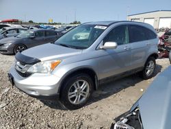 Salvage cars for sale at Cahokia Heights, IL auction: 2010 Honda CR-V EXL