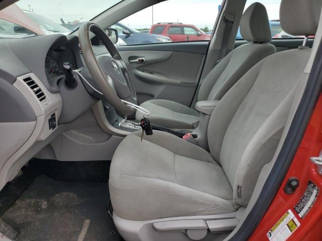 2010 Toyota Corolla Base