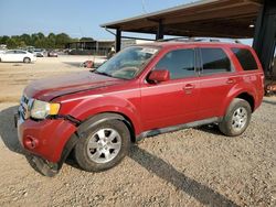 Ford Vehiculos salvage en venta: 2011 Ford Escape Limited