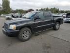 2006 Dodge Dakota Quad SLT