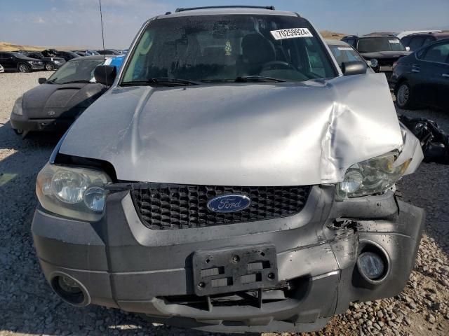 2005 Ford Escape XLT