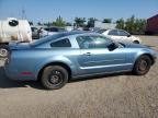 2005 Ford Mustang