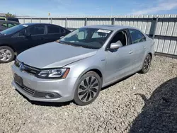 Volkswagen Jetta Vehiculos salvage en venta: 2014 Volkswagen Jetta Hybrid