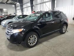 Salvage cars for sale at Ham Lake, MN auction: 2011 Ford Edge SEL