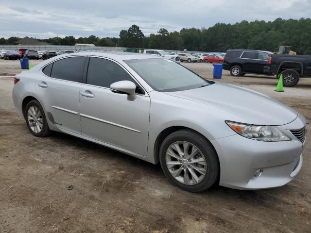 2013 Lexus ES 300H