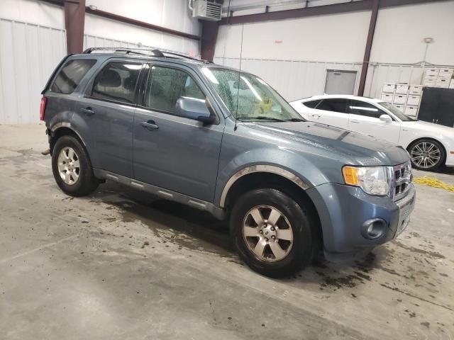 2011 Ford Escape Limited