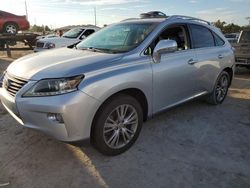 Lexus Vehiculos salvage en venta: 2013 Lexus RX 350